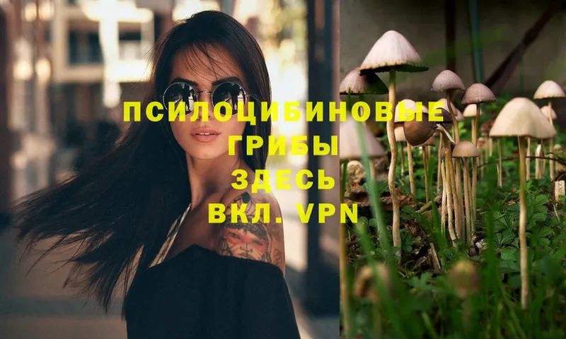 где найти наркотики  blacksprut вход  Галлюциногенные грибы Psilocybe  Билибино 